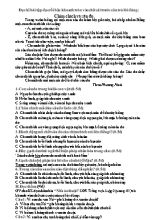 Đề kiểm tra cuối năm môn Tiếng Việt 3